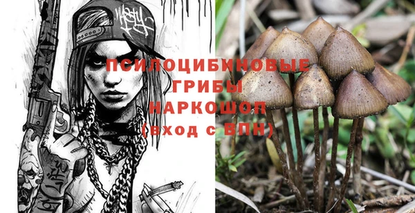 MDMA Козельск