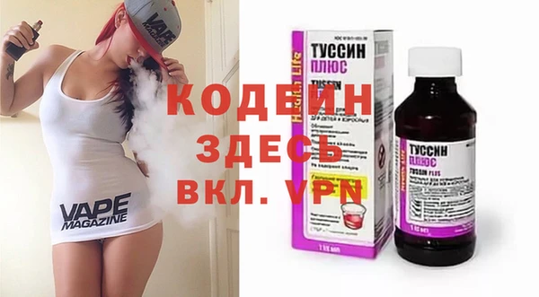 гашик Козловка