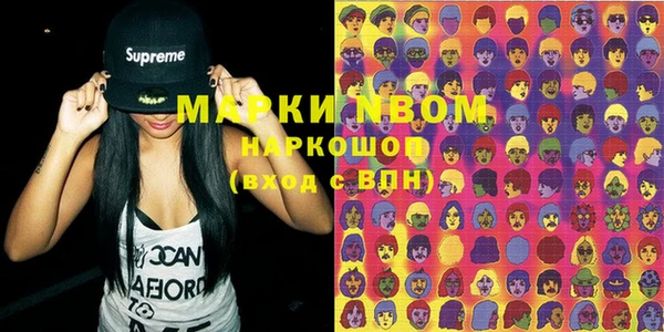 гашик Козловка