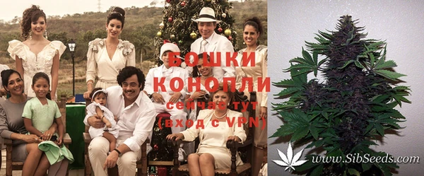 гидра Киренск