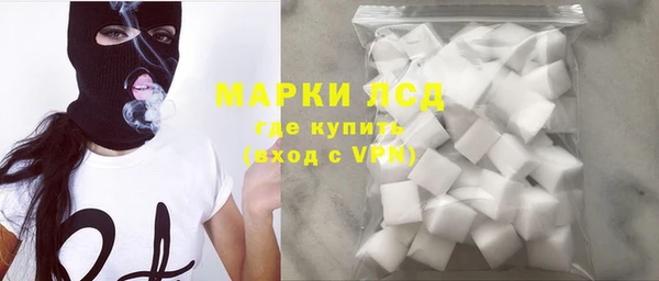 гашик Козловка