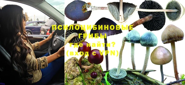 гидра Киренск