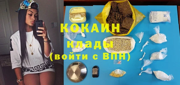 шишки Пересвет