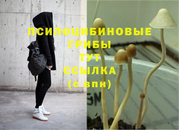 гидра Киренск
