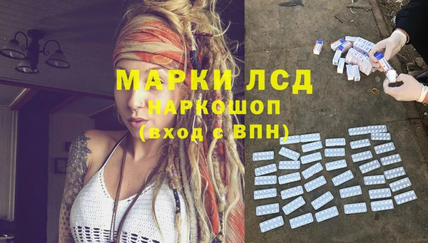 гидра Киренск