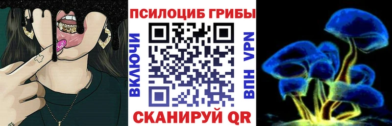 это состав Луга Псилоцибиновые грибы MAGIC MUSHROOMS