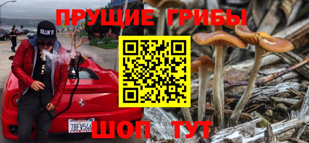 Псилоцибиновые грибы Cubensis  Вход с VPN  Луга 