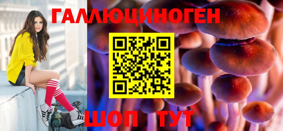 Псилоцибиновые грибы MAGIC MUSHROOMS Луга